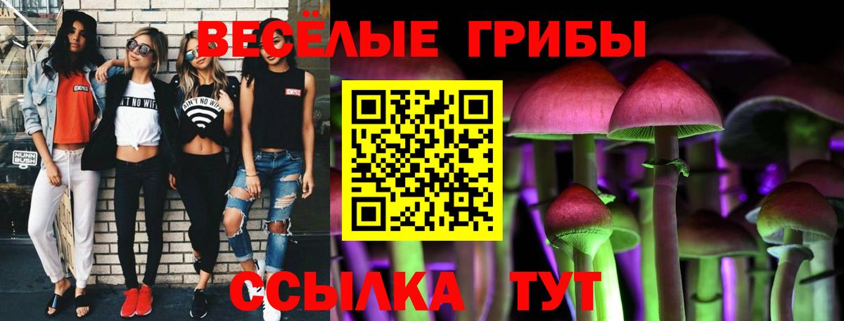 Псилоцибиновые грибы Изобильный